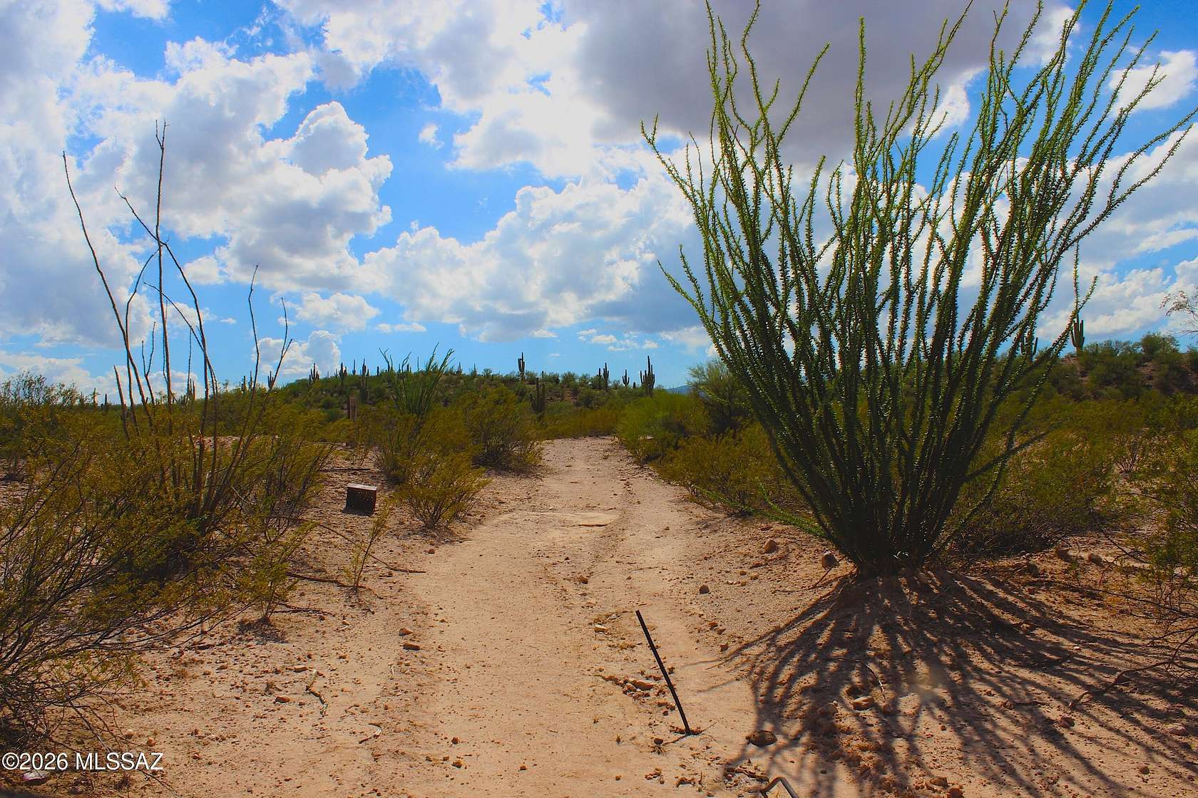 76 Acres of Recreational Land for Sale in Redington, Arizona