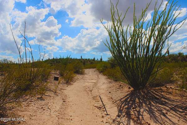 76 Acres of Recreational Land for Sale in Redington, Arizona