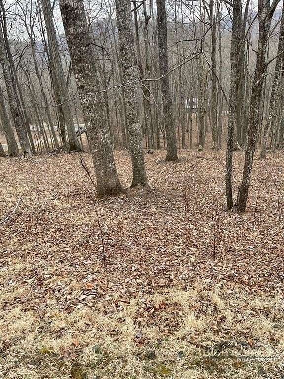 1.32 Acres of Residential Land for Sale in Todd, North Carolina