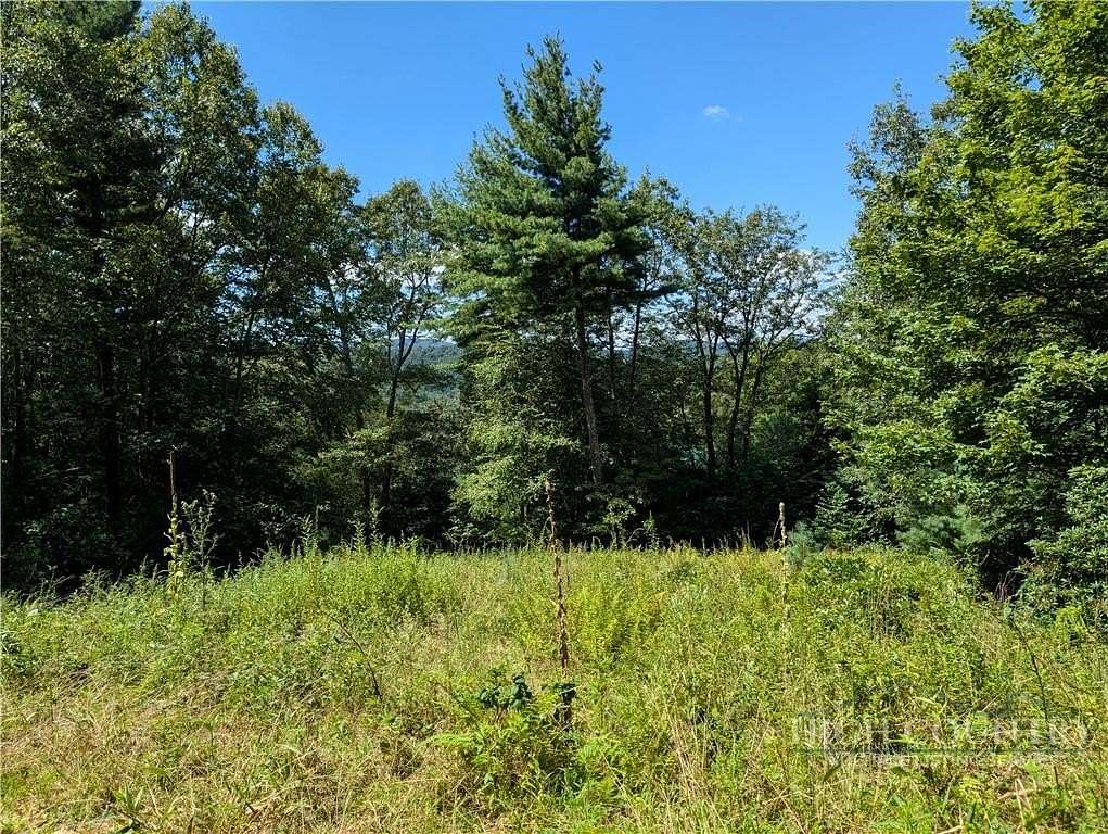 1 Acre of Residential Land for Sale in West Jefferson, North Carolina