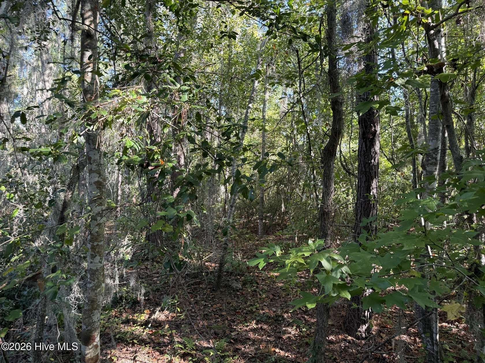 4.57 Acres of Residential Land for Sale in Blounts Creek, North Carolina