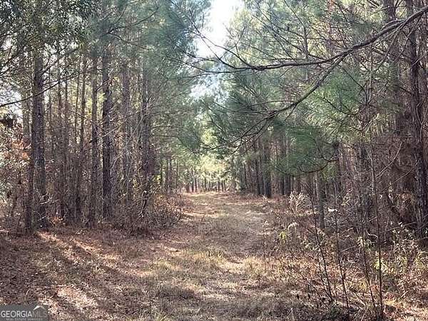 92 Acres of Recreational & Residential Land for Sale in Millen, Georgia