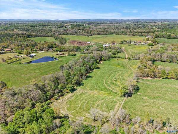 23 Acres of Agricultural & Residential Land for Sale in Horton, Alabama