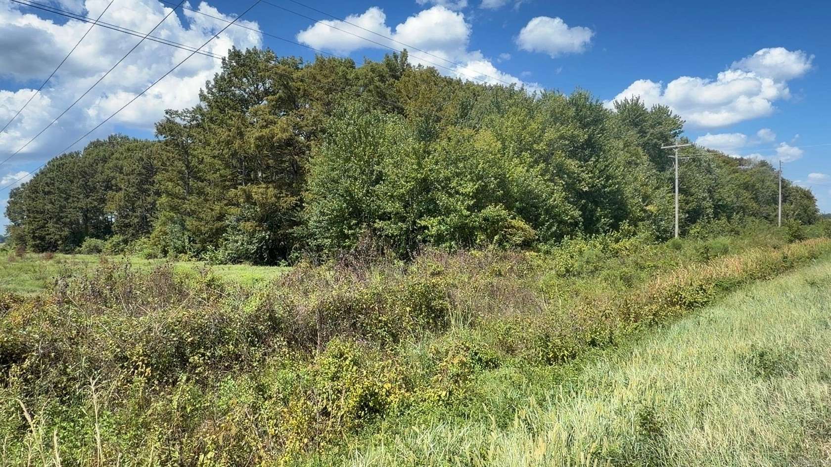 11 Acres of Recreational Land for Sale in Pine Bluff, Arkansas