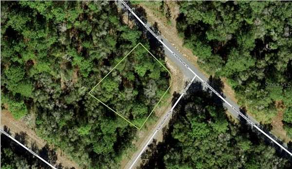 0.31 Acres of Land for Sale in Citrus Springs, Florida