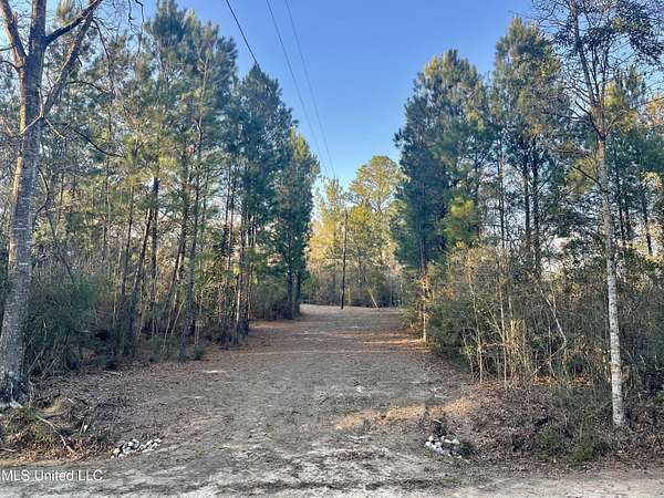 16.4 Acres of Recreational & Residential Land for Sale in Saucier, Mississippi