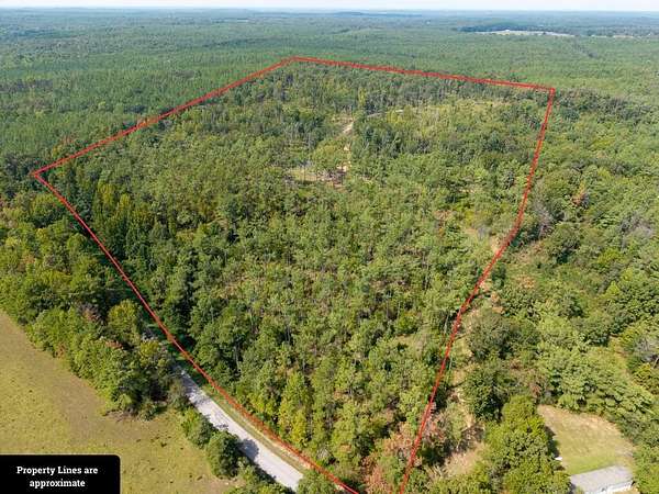 63.2 Acres of Recreational & Residential Land for Sale in Water Valley, Mississippi