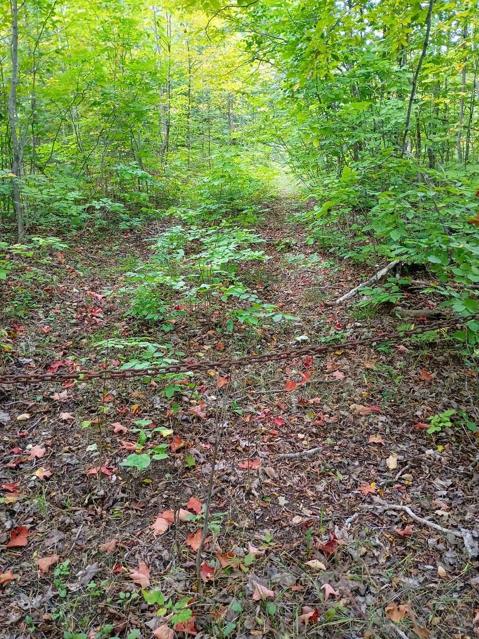 116 Acres of Recreational & Residential Land for Sale in Presque Isle, Michigan