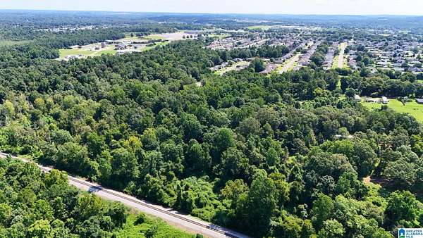 4.4 Acres of Residential Land for Sale in Tuscaloosa, Alabama