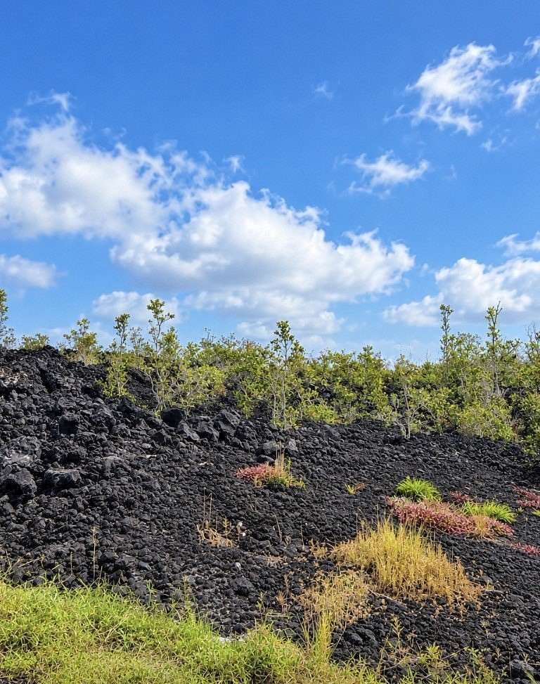 1 Acre of Residential Land for Sale in Hawaiian Ocean View, Hawaii