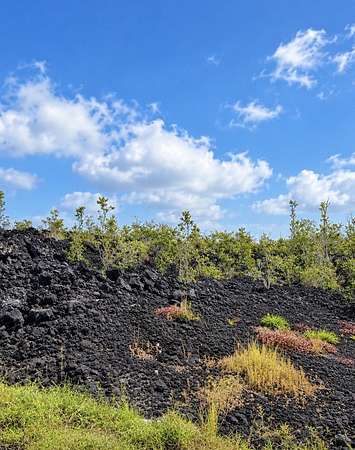 1 Acre of Residential Land for Sale in Hawaiian Ocean View, Hawaii