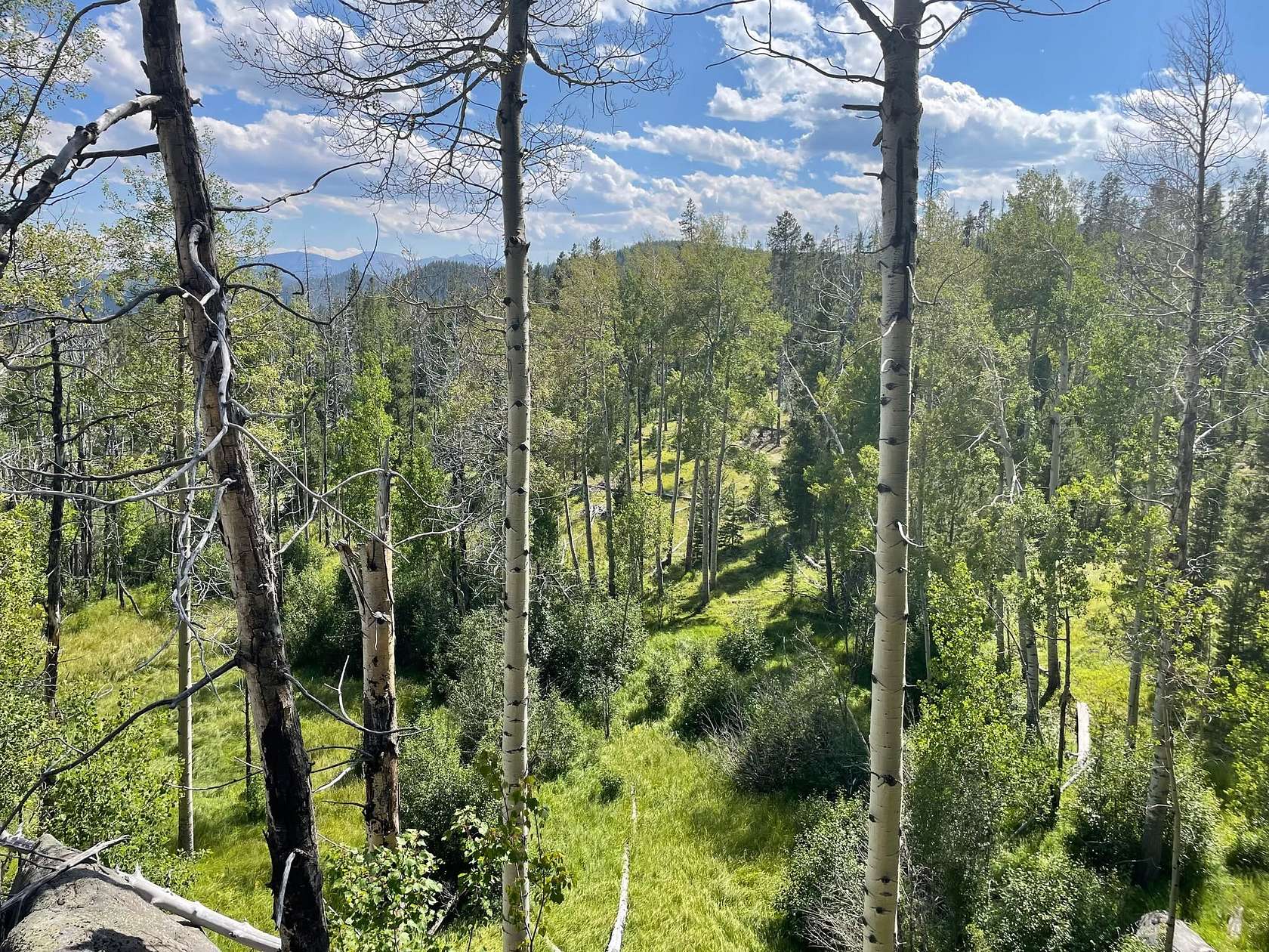 20.7 Acres of Recreational Land for Sale in Butte, Montana