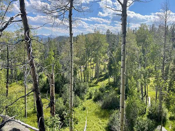 20.7 Acres of Recreational Land for Sale in Butte, Montana