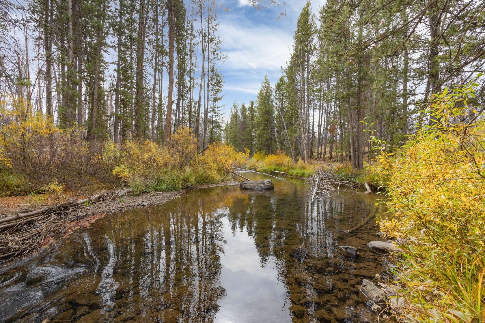 0.46 Acres of Land for Sale in Stanley, Idaho