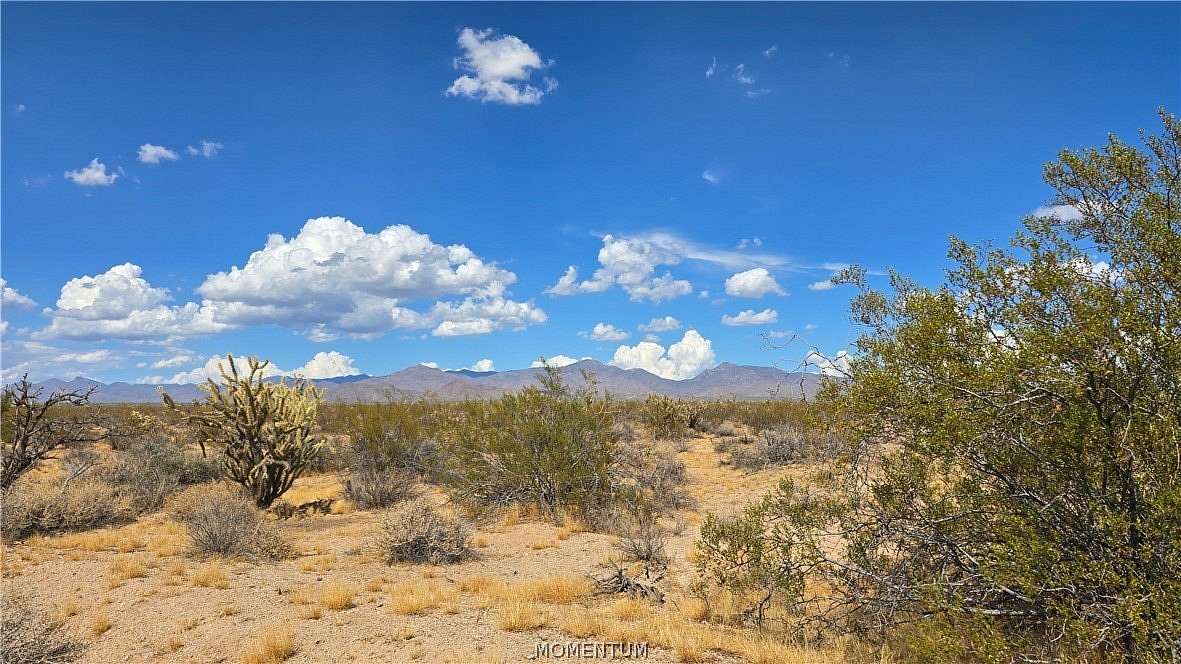 40 Acres of Land for Sale in Yucca, Arizona