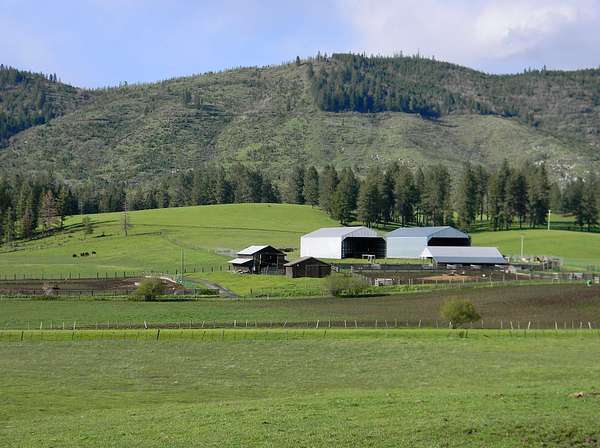 2,890 Acres of Land for Sale in Deary, Idaho