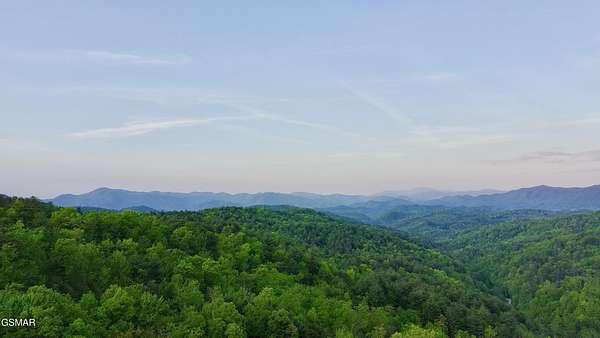 11.7 Acres of Recreational & Residential Land for Sale in Del Rio, Tennessee