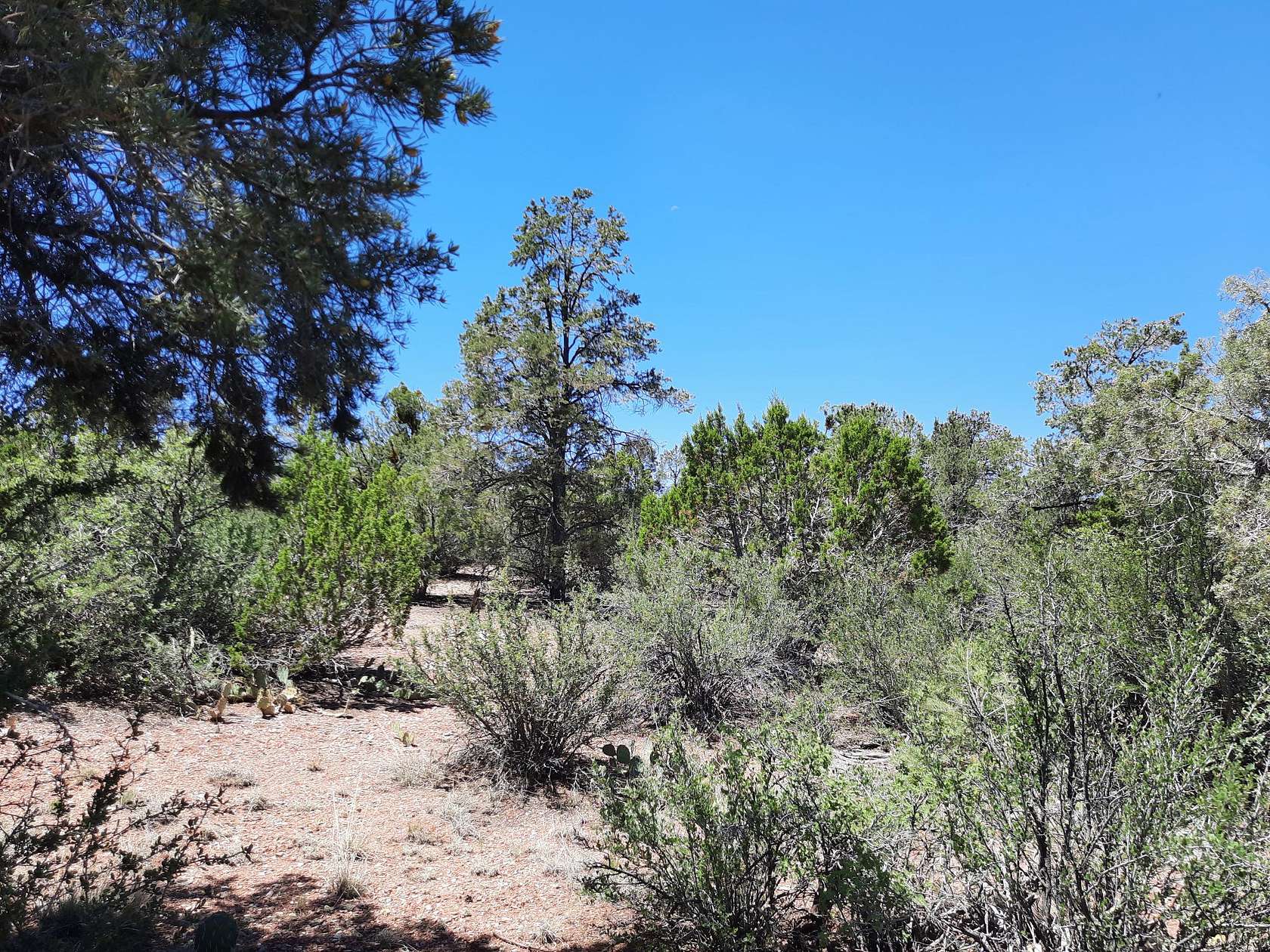 40 Acres of Land for Sale in Seligman, Arizona