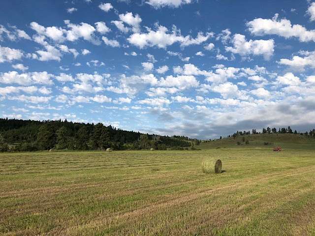 1,280 Acres of Recreational & Residential Land for Sale in Reed Point, Montana