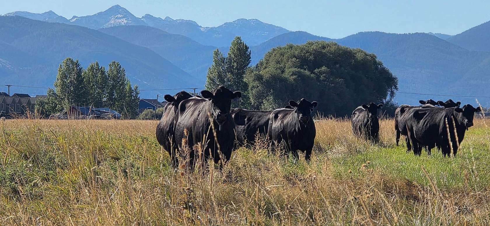150 Acres of Land for Sale in Bozeman, Montana