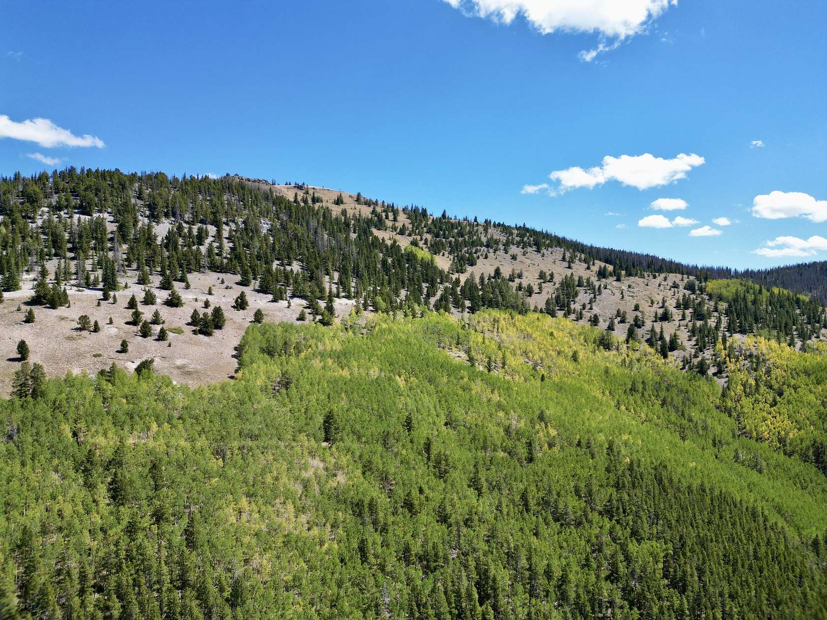 140 Acres of Land with Home for Sale in Whitepine, Colorado
