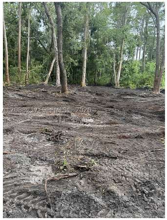 0.13 Acres of Residential Land for Sale in Citrus Park, Florida