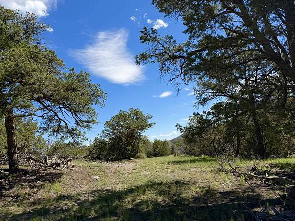 10.7 Acres of Land for Sale in Datil, New Mexico