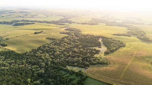 77.3 Acres of Land for Sale in Fullerton, Nebraska