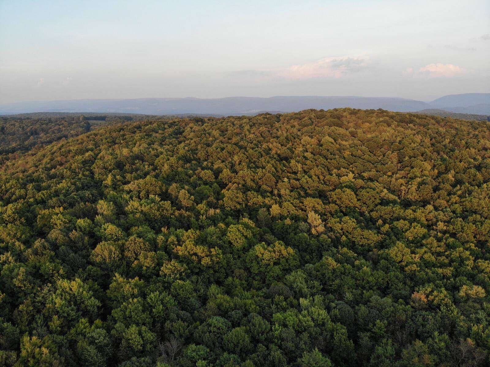 82 Acres of Land for Sale in Ohiopyle, Pennsylvania