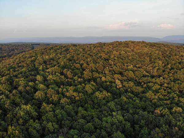 82 Acres of Land for Sale in Ohiopyle, Pennsylvania