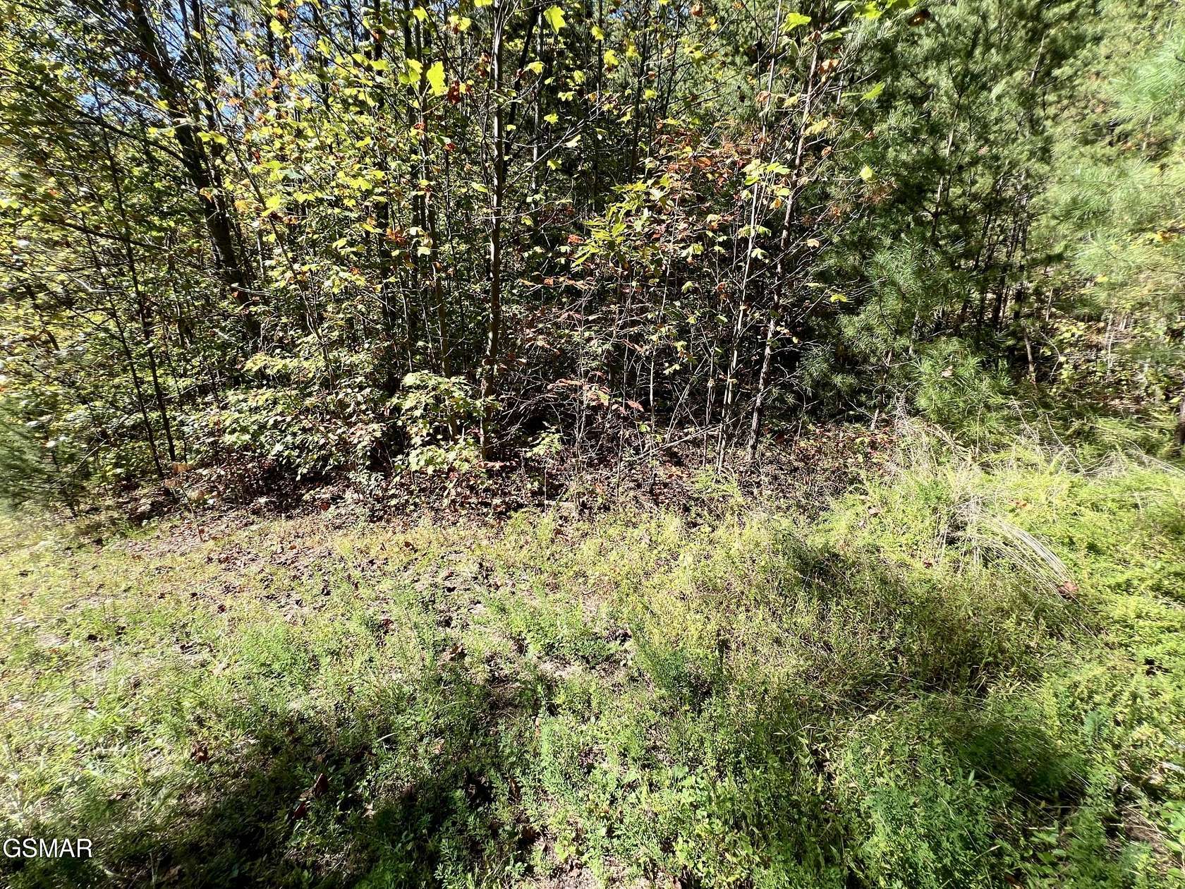 5.6 Acres of Land for Sale in Sevierville, Tennessee