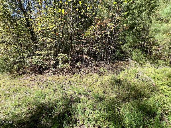 5.6 Acres of Land for Sale in Sevierville, Tennessee