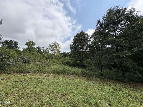 1 Acre of Residential Land for Sale in Strawberry Plains, Tennessee