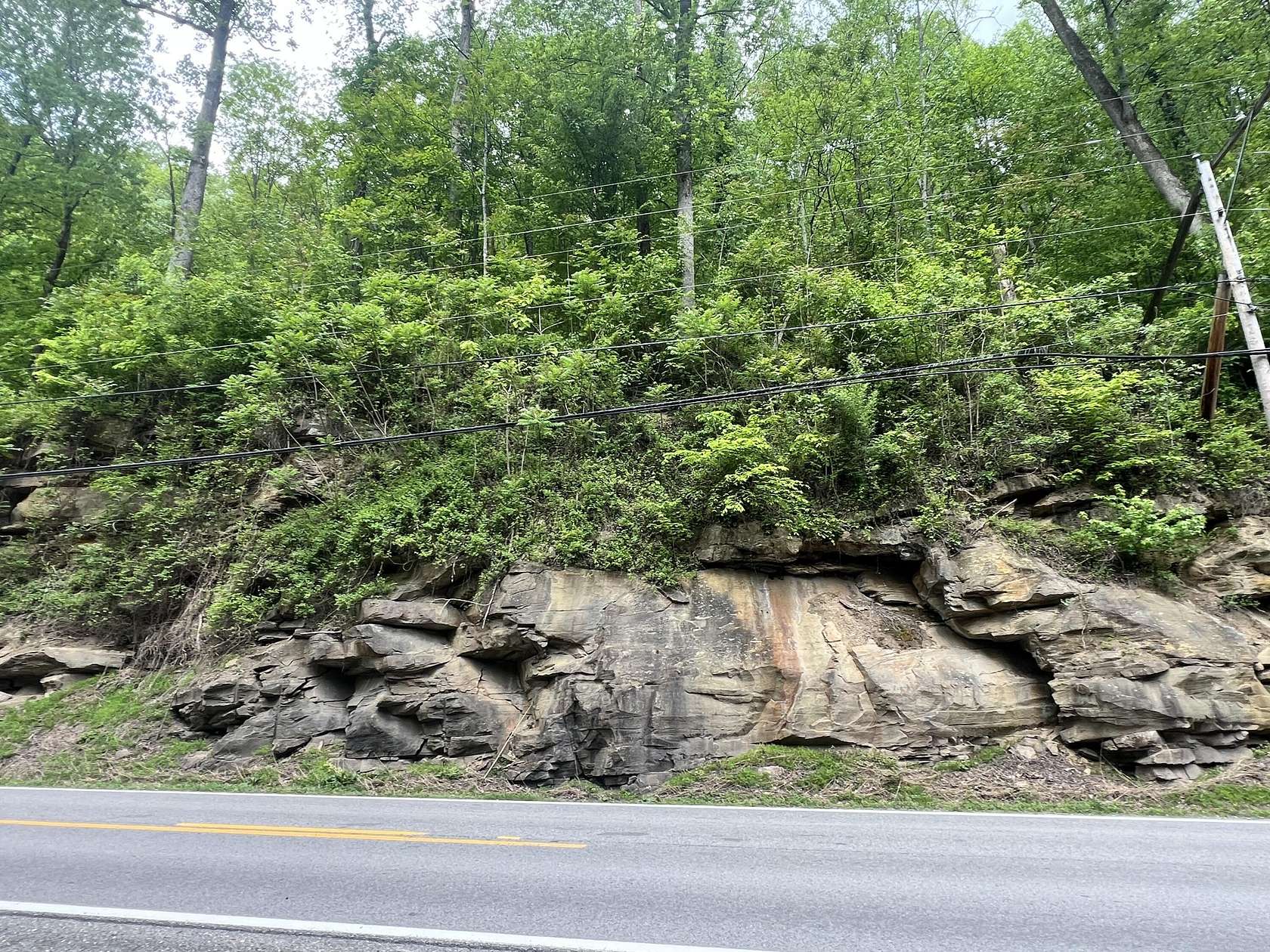 12.6 Acres of Recreational & Residential Land for Sale in Alta, West Virginia