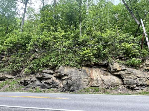 12.6 Acres of Recreational & Residential Land for Sale in Alta, West Virginia