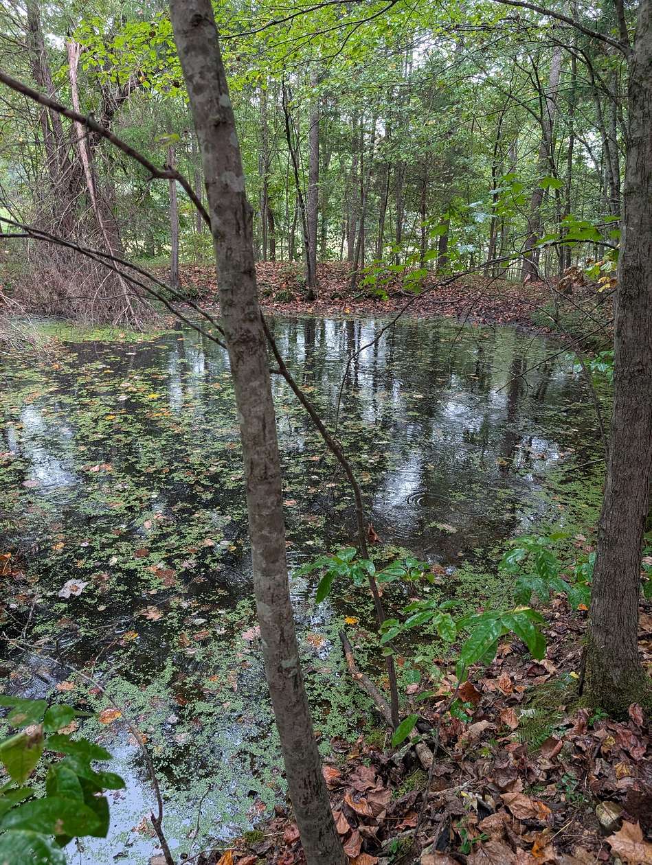 20.2 Acres of Land with Home for Sale in Dickson, Tennessee