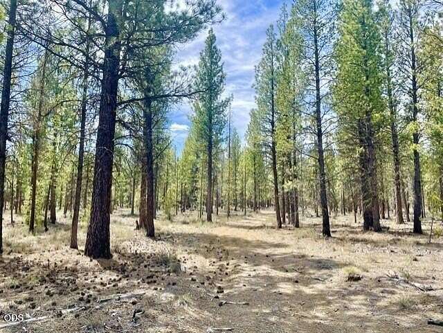 40 Acres of Recreational Land for Sale in La Pine, Oregon
