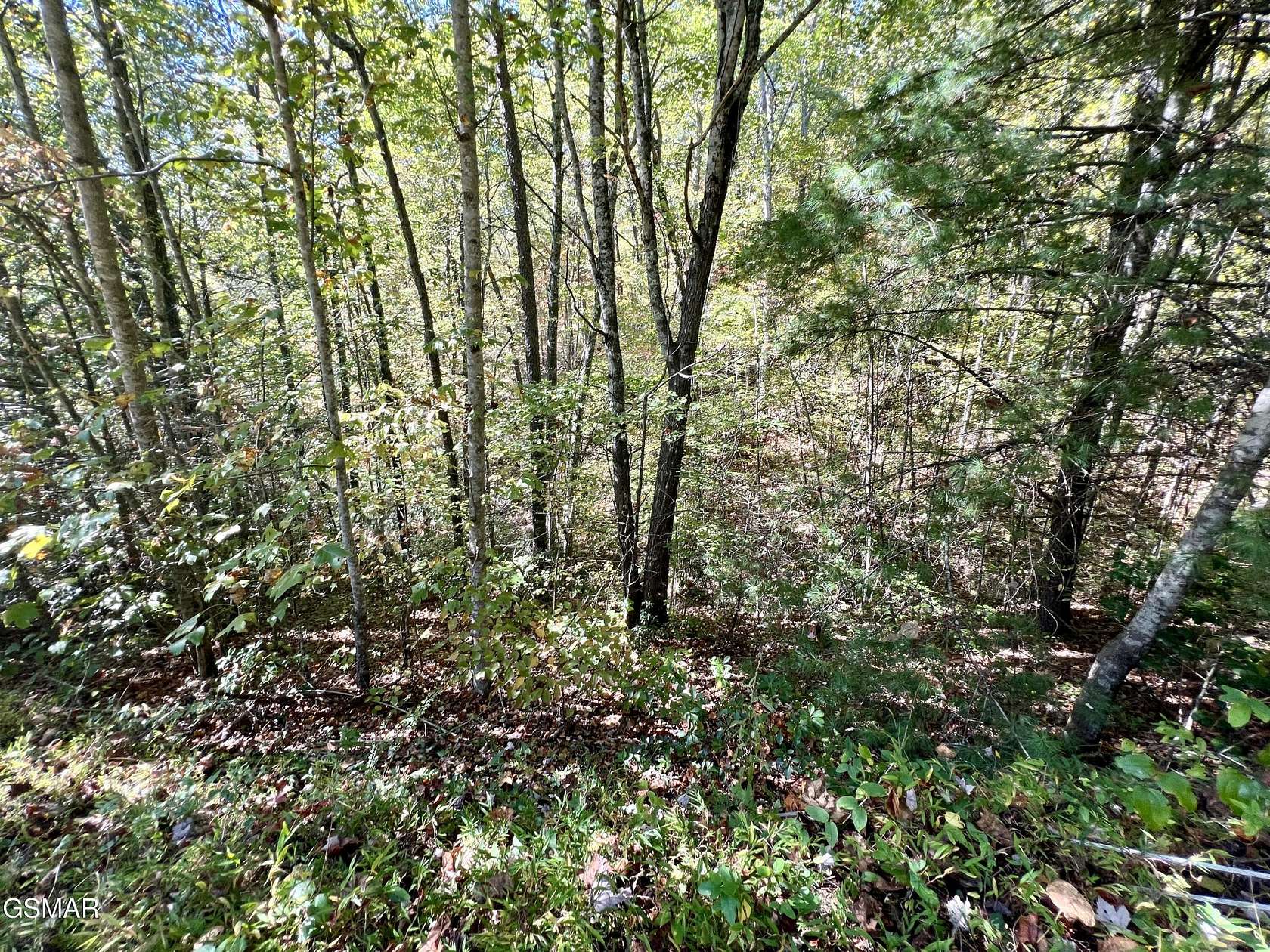 6 Acres of Land for Sale in Sevierville, Tennessee