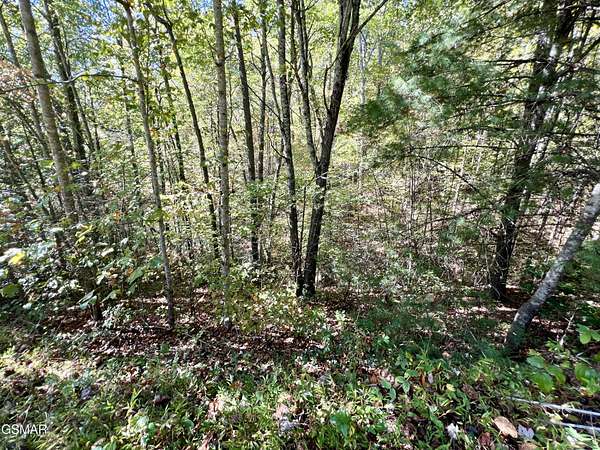 6 Acres of Land for Sale in Sevierville, Tennessee