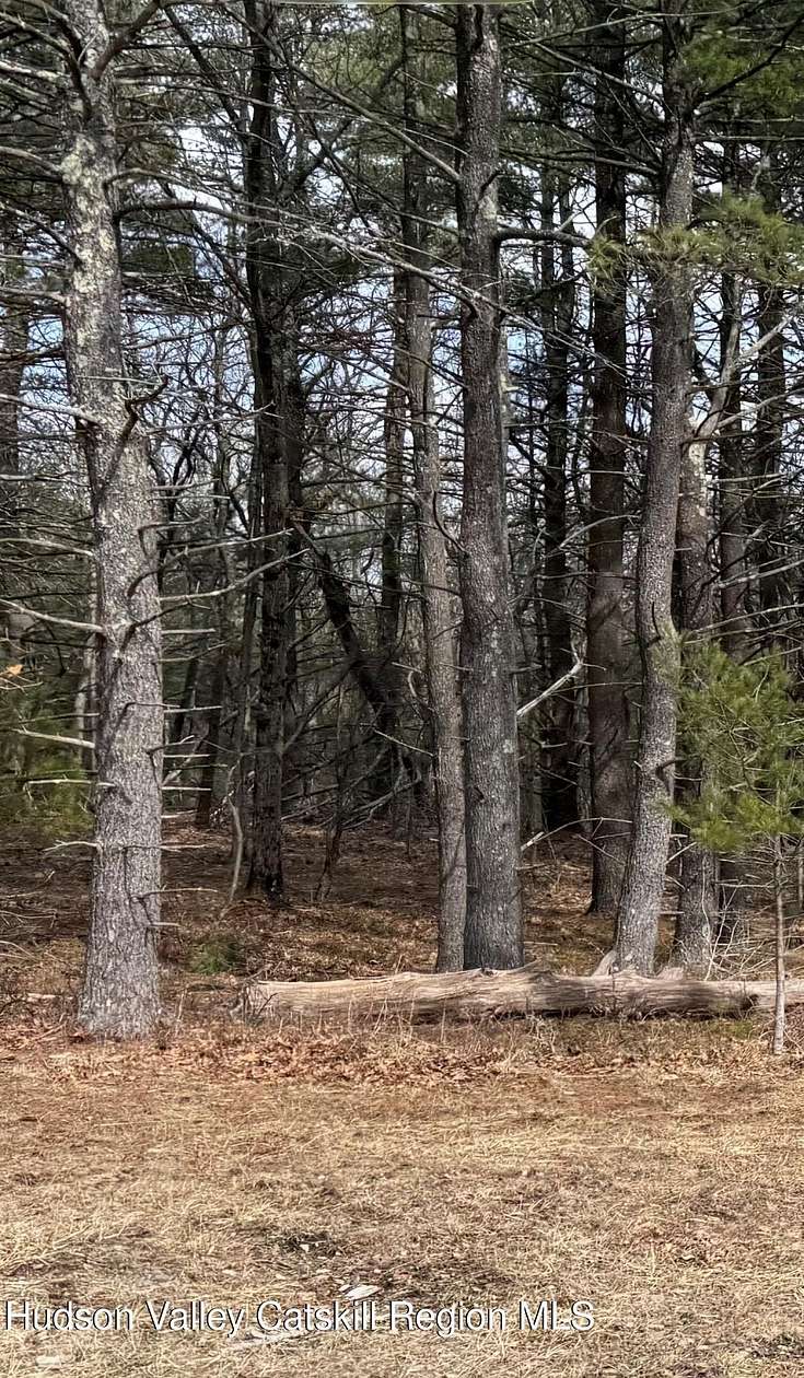 25 Acres of Land for Sale in Coeymans, New York