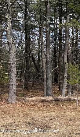 25 Acres of Land for Sale in Coeymans, New York
