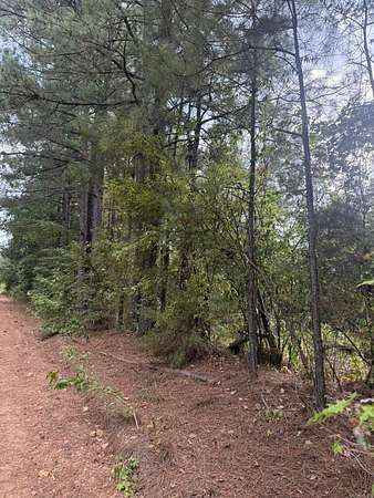 35 Acres of Recreational & Residential Land for Sale in Columbus, Arkansas
