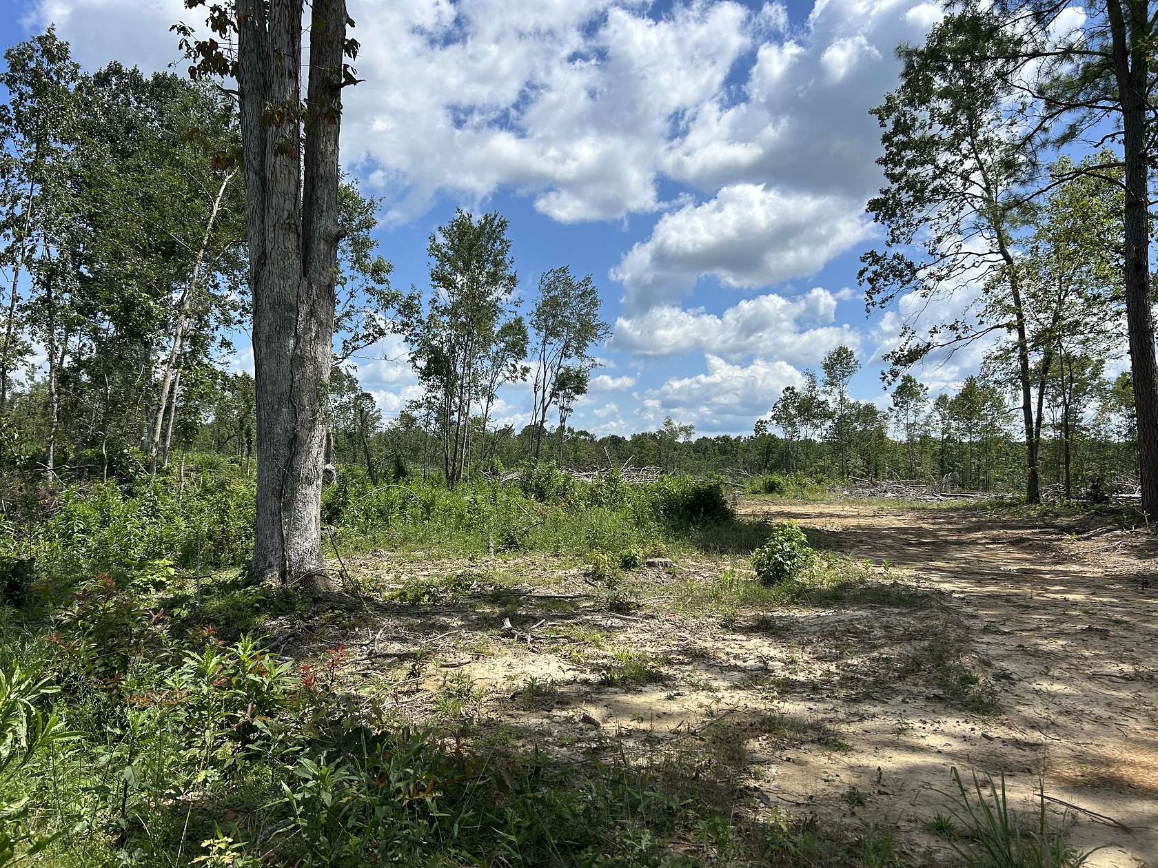 38.6 Acres of Recreational & Residential Land for Sale in Big Sandy, Tennessee