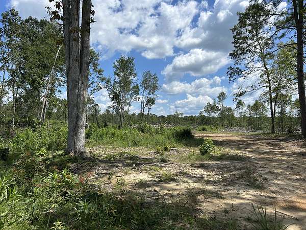 38.6 Acres of Recreational & Residential Land for Sale in Big Sandy, Tennessee