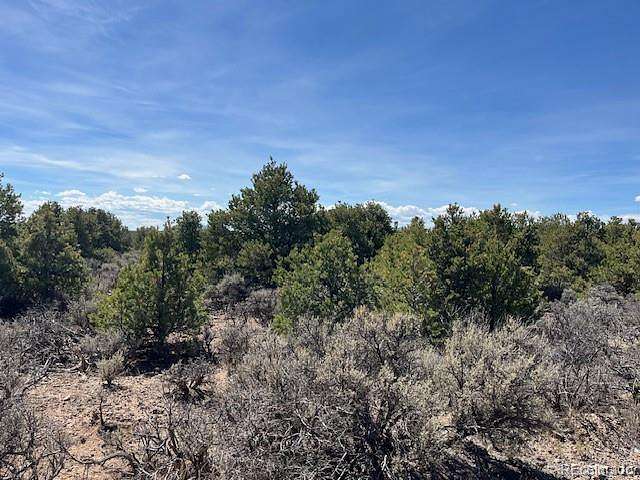 1 Acre of Residential Land for Sale in San Luis, Colorado