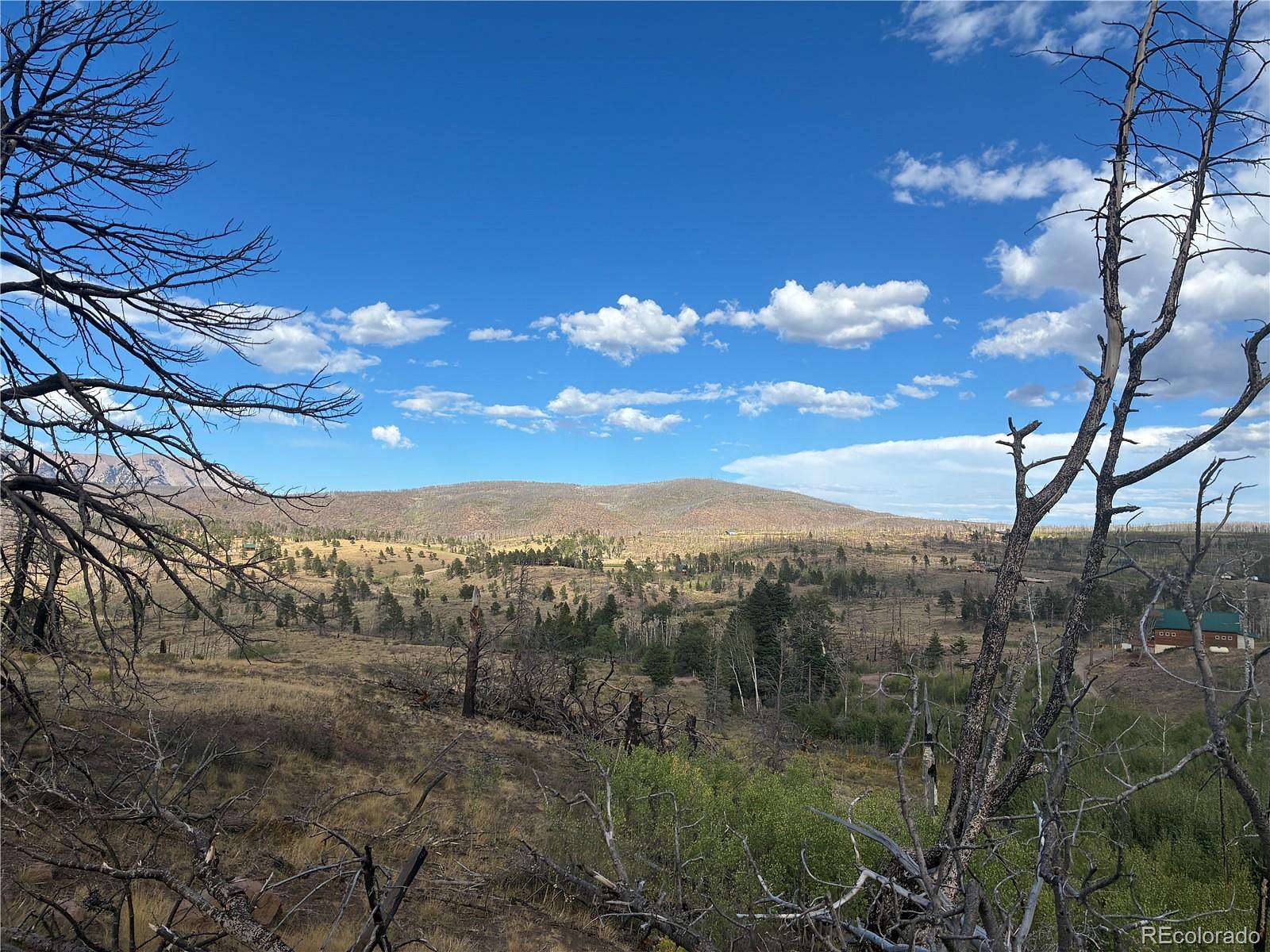 3 Acres of Land for Sale in Fort Garland, Colorado