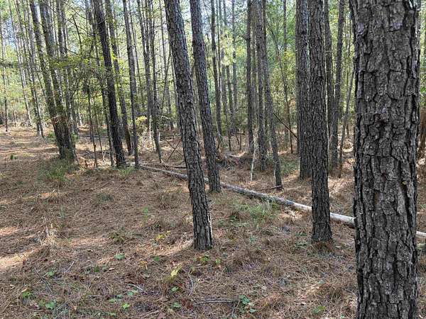 22 Acres of Land for Sale in Eatonton, Georgia