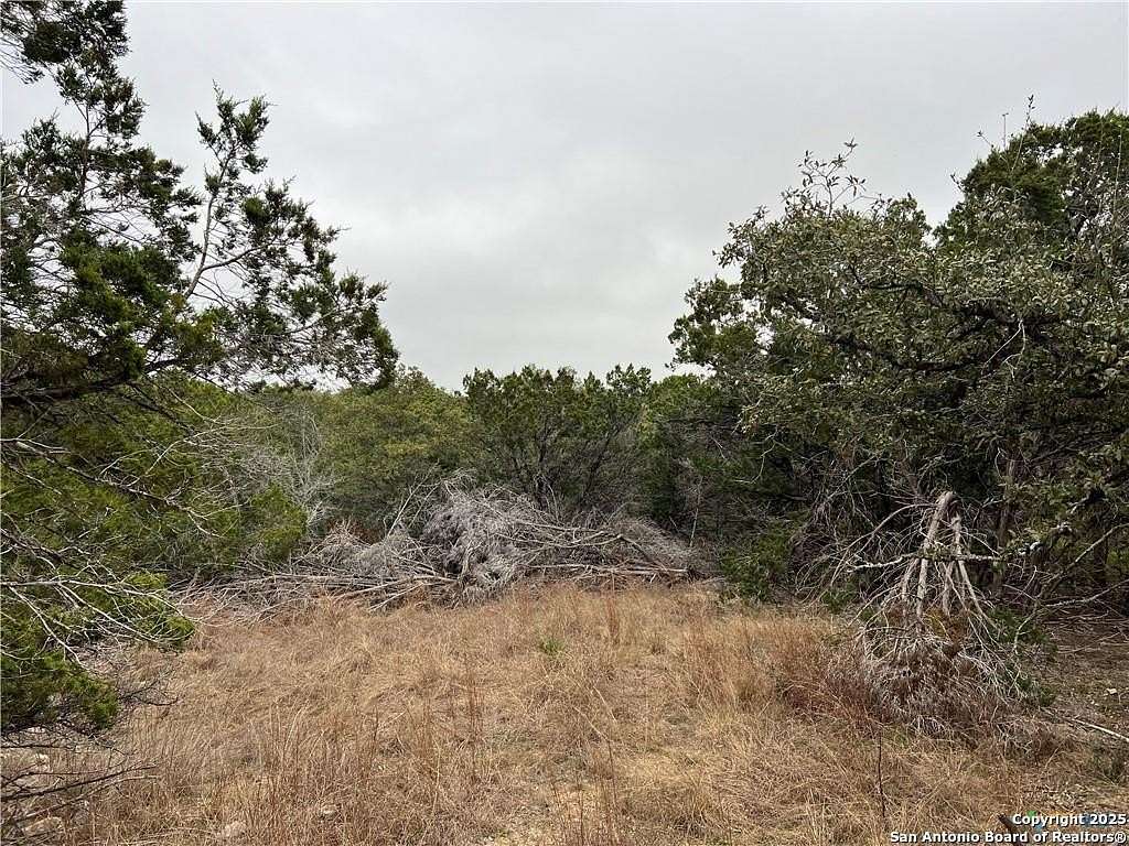 0.33 Acres of Residential Land for Sale in Spring Branch, Texas