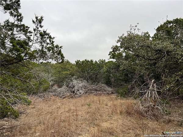 0.33 Acres of Residential Land for Sale in Spring Branch, Texas