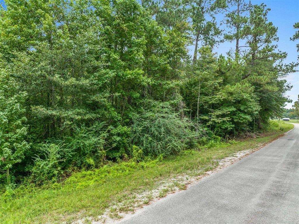 30 Acres of Recreational & Residential Land for Sale in Singer, Louisiana